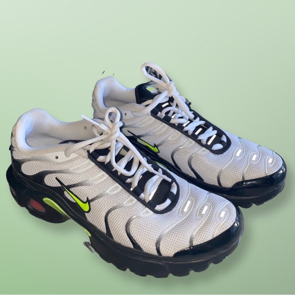 Nike Air Max Plus (with original box)